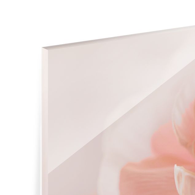 Spritzschutz Glas - Rosa Blüte im Fokus - Panorama 5:2