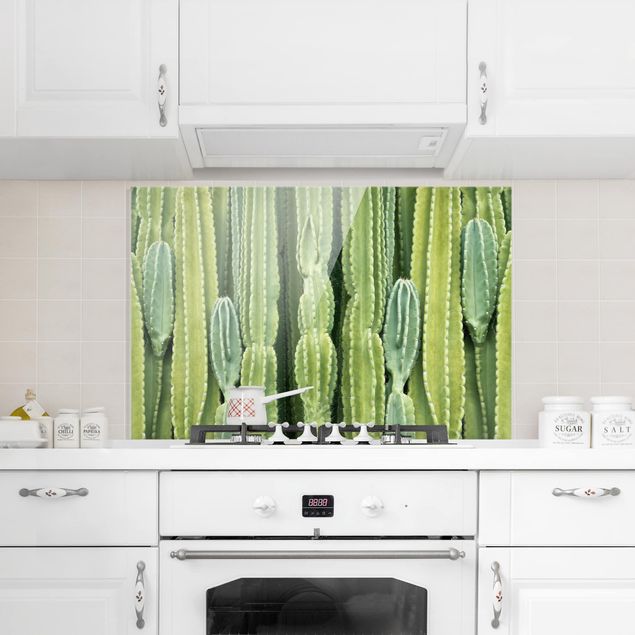 Spritzschutz Kaktus Wand