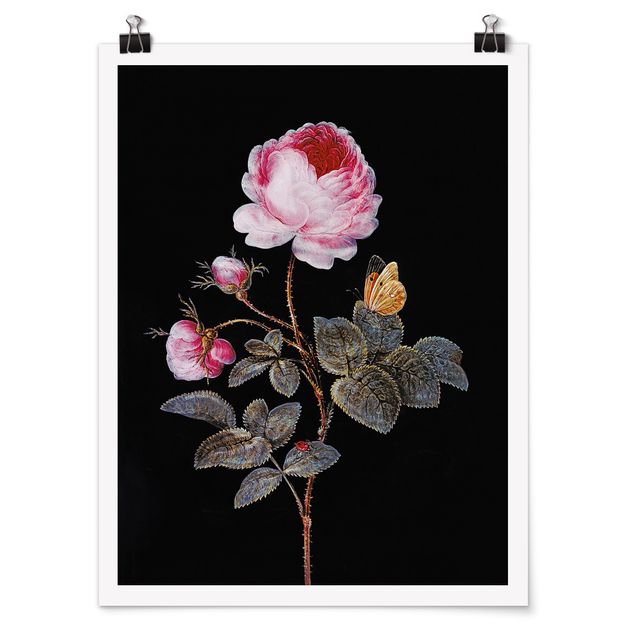 Bilder Barbara Regina Dietzsch - Die hundertblättrige Rose