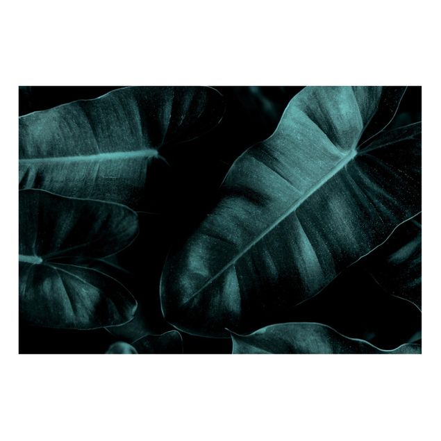 Magnettafel - Dschungel Blätter Dunkelgrün - Hochformat 3:2
