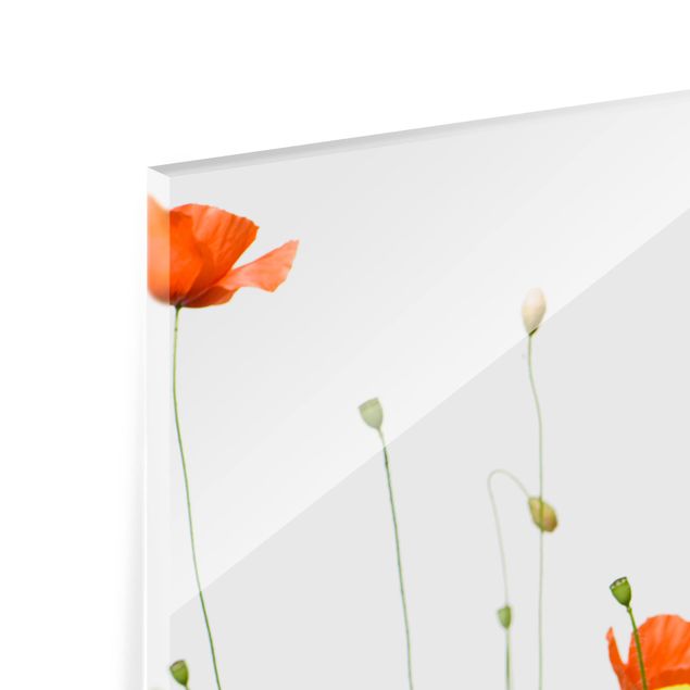 Glas Spritzschutz - Wild Flowers - Quadrat - 1:1