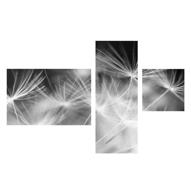 Leinwandbild 3-teilig - Bewegte Pusteblumen - Collage 2