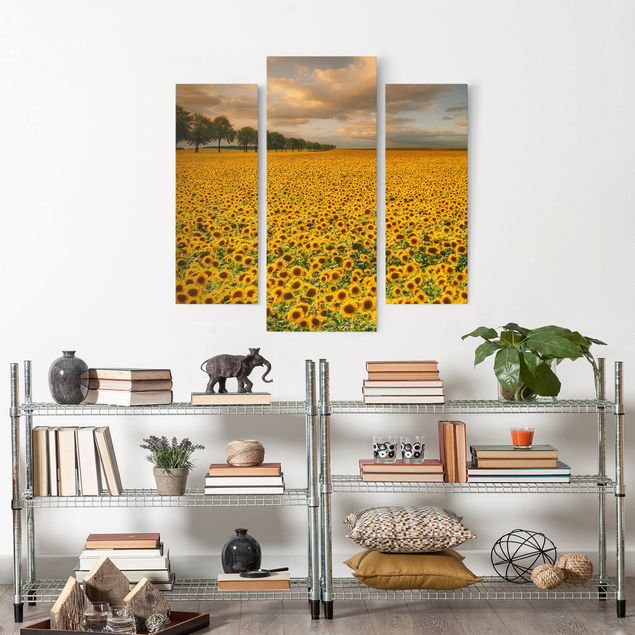 Wandbilder Feld mit Sonnenblumen