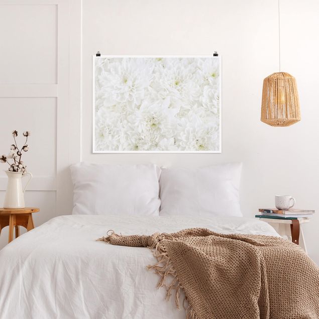 Moderne Poster Dahlien Blumenmeer weiß