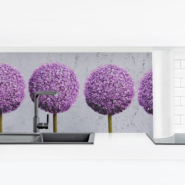Küchenrückwand selbstklebend Allium Kugel-Blüten I