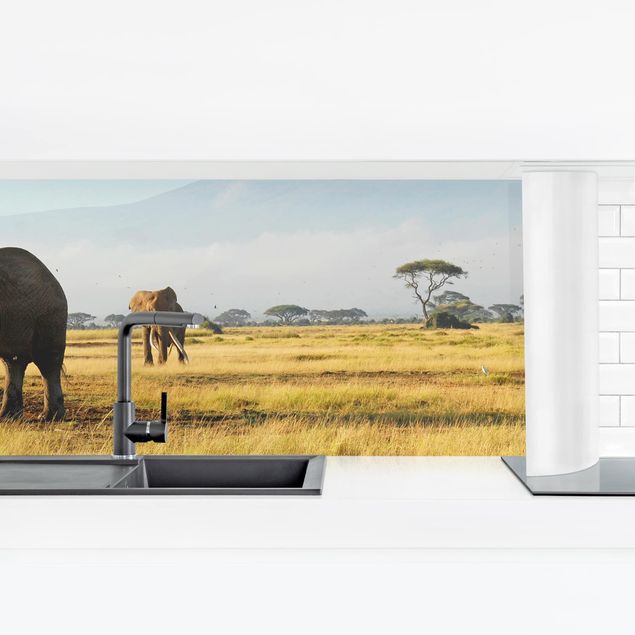 Küchenrückwand selbstklebend Elefanten vor dem Kilimanjaro in Kenya