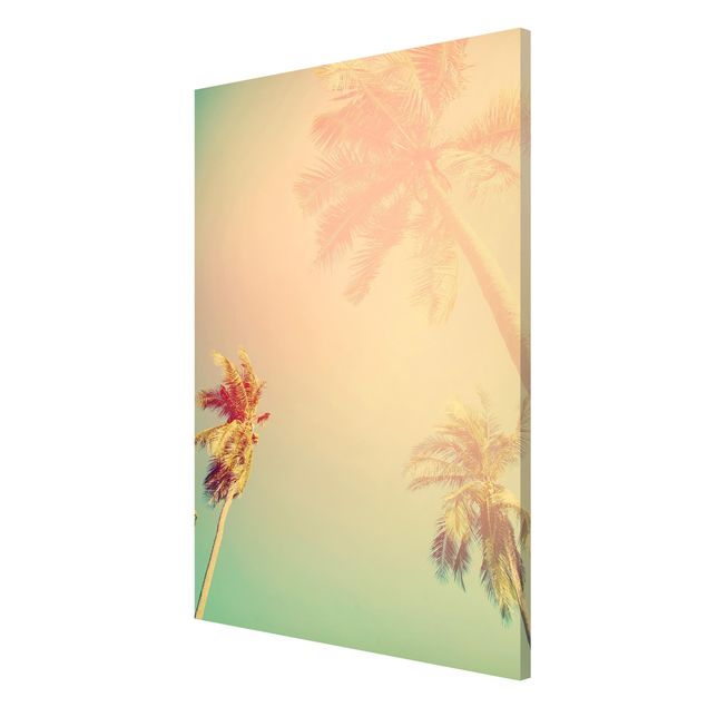 Magnettafel mit Motiv Tropische Pflanzen Palmen bei Sonnenuntergang III