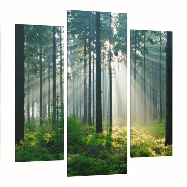 Leinwandbilder Enlightened Forest