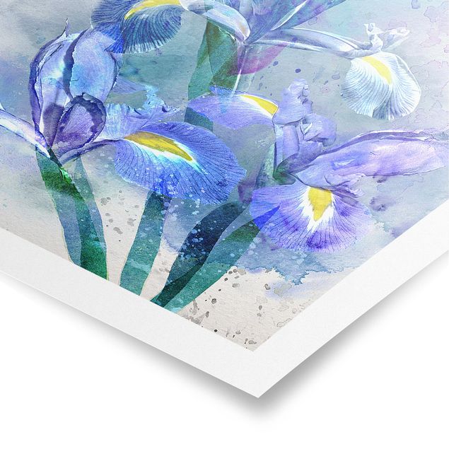 Poster Aquarell Blumen Iris
