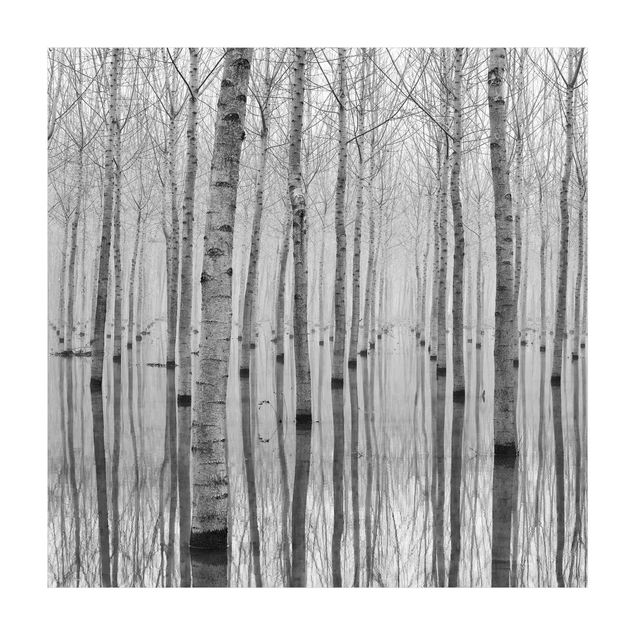 Teppich schwarz-weiß Birken im November