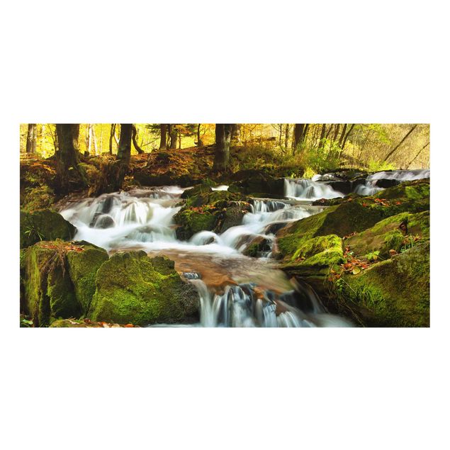 Spritzschutz Glas - Wasserfall herbstlicher Wald - Querformat - 2:1
