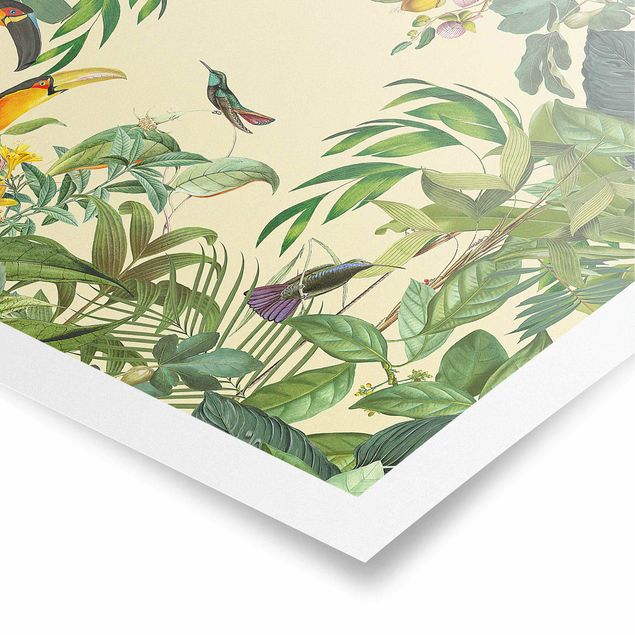 Poster bestellen Vintage Collage - Vögel im Dschungel
