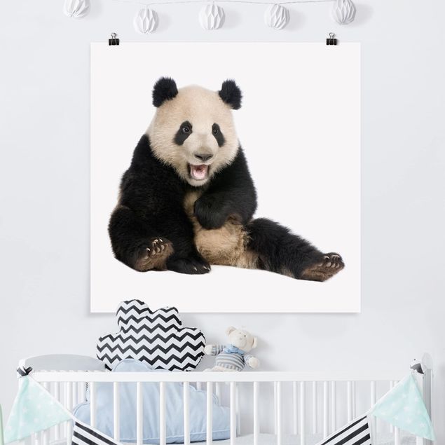 Poster Tiere Lachender Panda