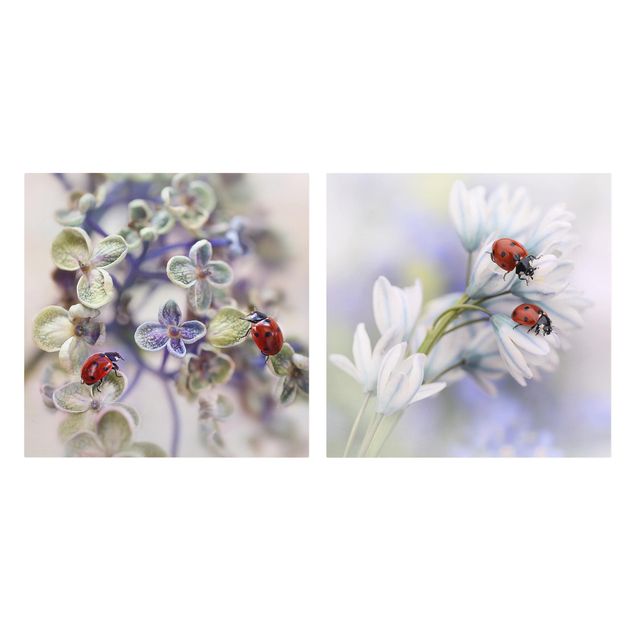 Leinwandbild 2-teilig - Marienkäfer auf Blüten - Quadrate 1:1