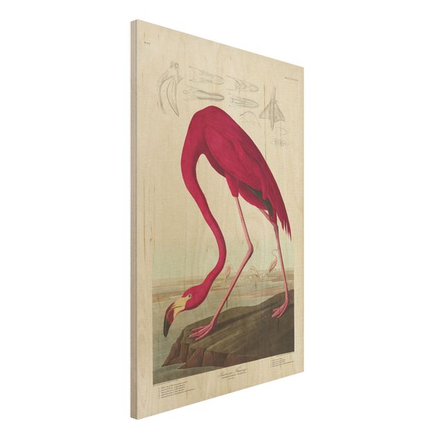 Holzbilder Blumen Vintage Lehrtafel Amerikanischer Flamingo