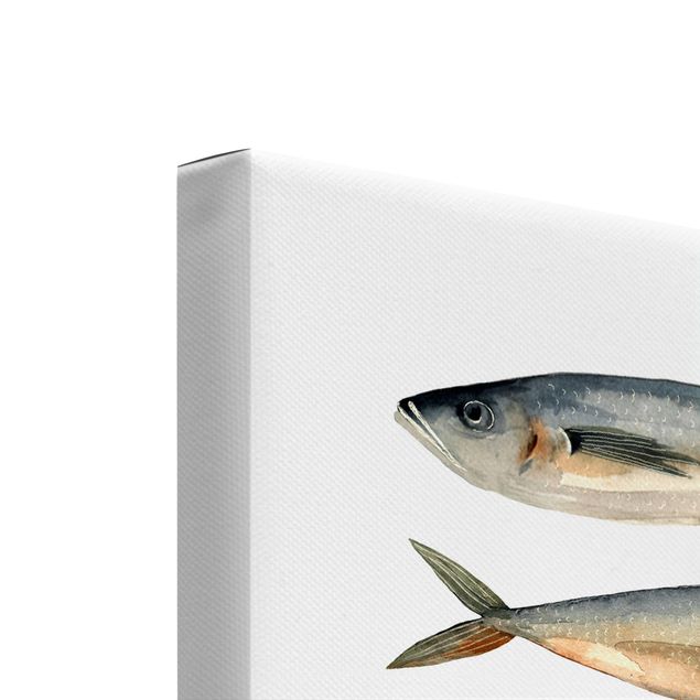 Leinwandbild 2-teilig - Acht Fische in Aquarell Set I - Hoch 4:3