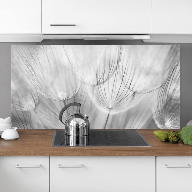 Glasrückwand Küche Pusteblume Pusteblumen Makroaufnahme in schwarz weiß