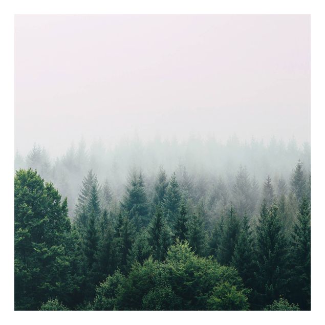 Spritzschutz Natur Wald im Nebel Dämmerung