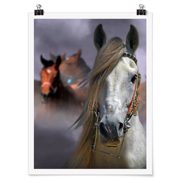 Poster - Horses in the Dust - Hochformat 3:4