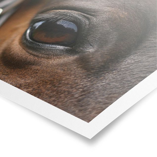 Poster - Horse Eye - Querformat 2:3