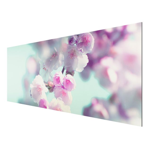 Alu-Dibond - Farbenfrohe Kirschblüten - Hochformat