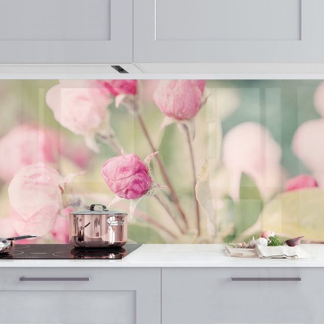 Platte Küchenrückwand Apfelblüte Bokeh rosa