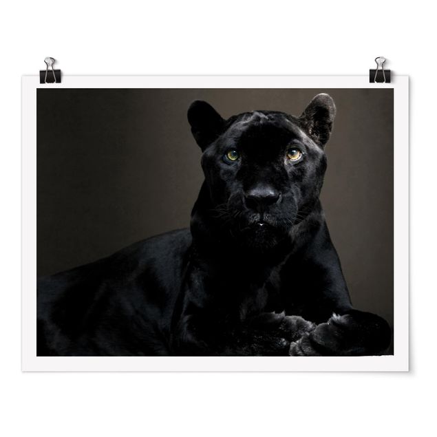 Moderne Poster Black Puma