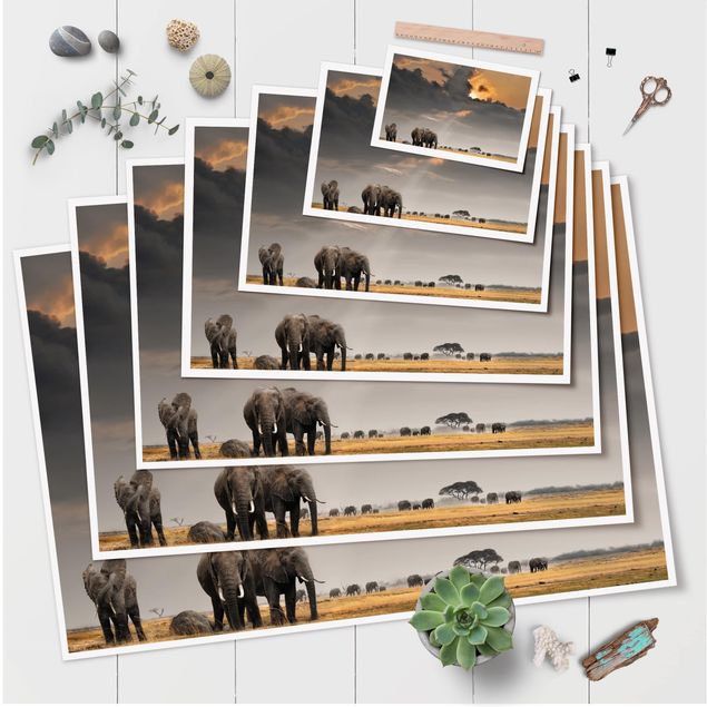 Poster - Elefanten der Savanne - Querformat 2:3