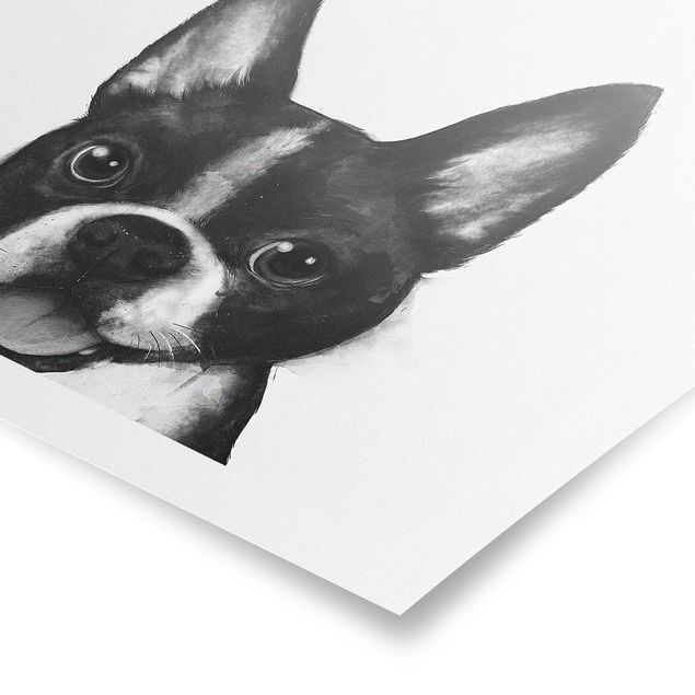 Poster - Illustration Hund Boston Schwarz Weiß Malerei - Quadrat 1:1
