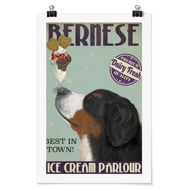 Poster - Berner Sennenhund mit Eis - Hochformat 3:2