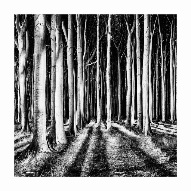 Teppich schwarz-weiß Geisterwald