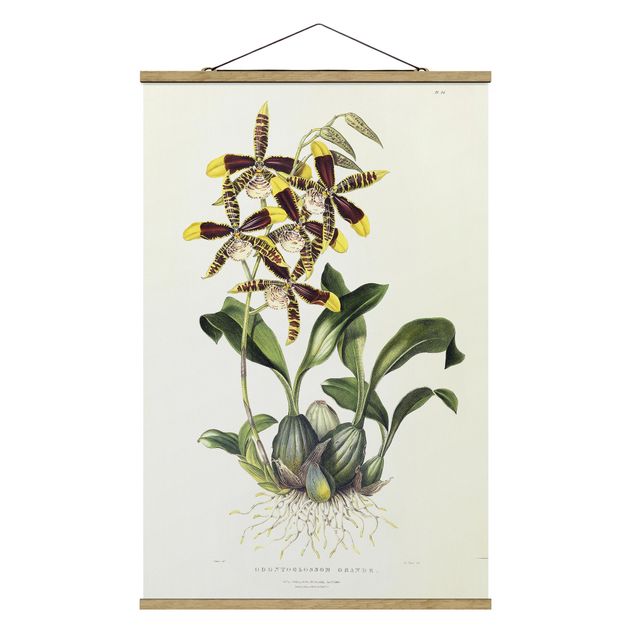 Stoffbild mit Posterleisten - Maxim Gauci - Orchidee II - Hochformat 2:3