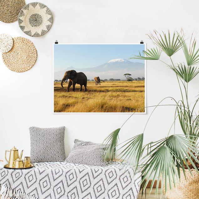 Poster - Elefanten vor dem Kilimanjaro in Kenia - Querformat 3:4