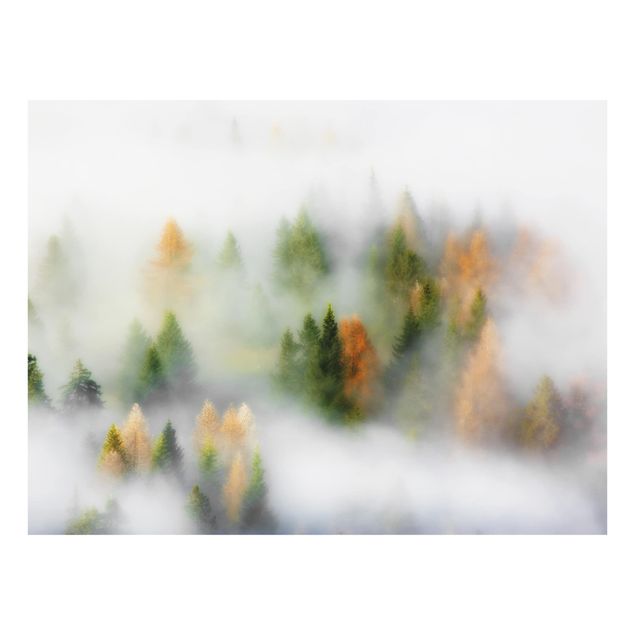Küchenspritzschutz Nebelwald im Herbst