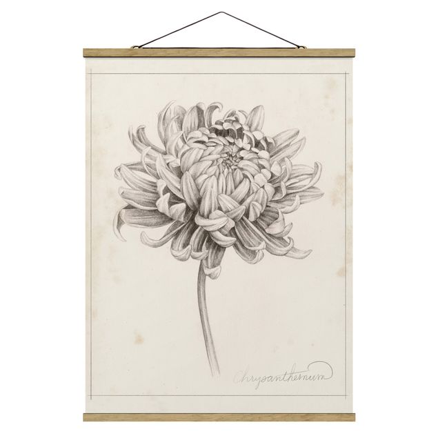 Stoffbild mit Posterleisten - Botanische Studie Chrysantheme I - Hochformat 3:4