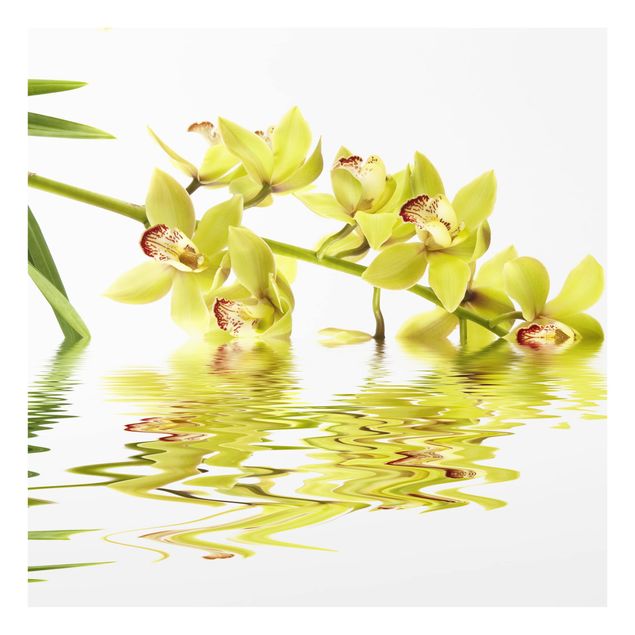 Glas Spritzschutz - Elegant Orchid Waters - Quadrat - 1:1