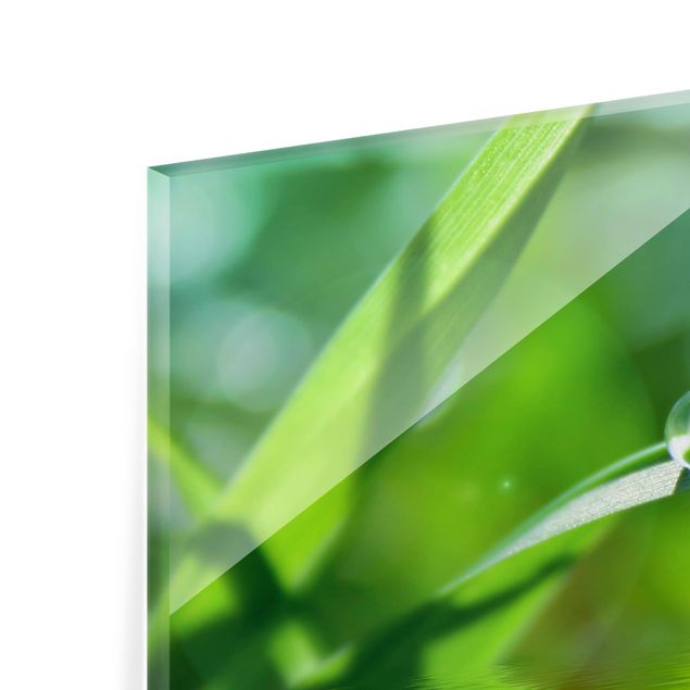 Spritzschutz Glas - Green Ambiance II - Querformat - 3:2