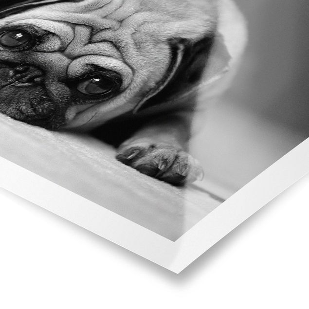 Poster - Pug Loves You II - Querformat 2:3