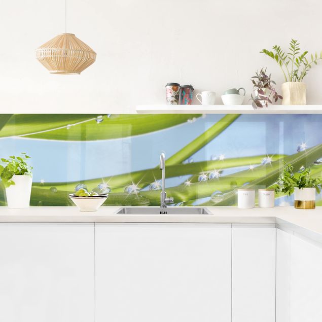 Küchenrückwand - Fresh Green