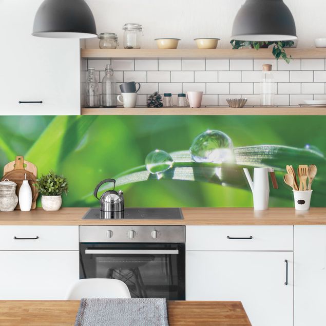 Küchenrückwand - Green Ambiance II