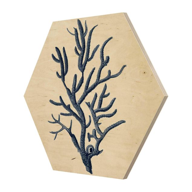 Hexagon Bild Holz - Indigo Koralle II
