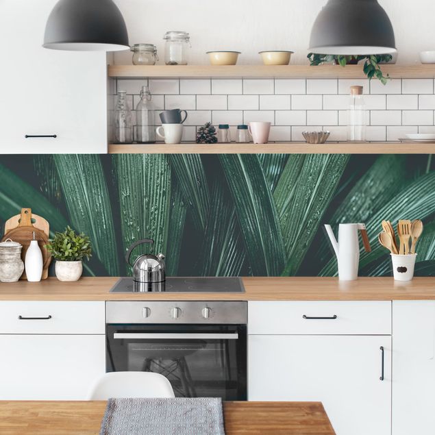 Wandpaneele Küche Grüne Palmenblätter