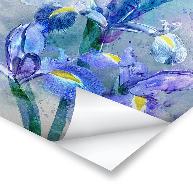Poster - Aquarell Blumen Iris - Hochformat 3:2