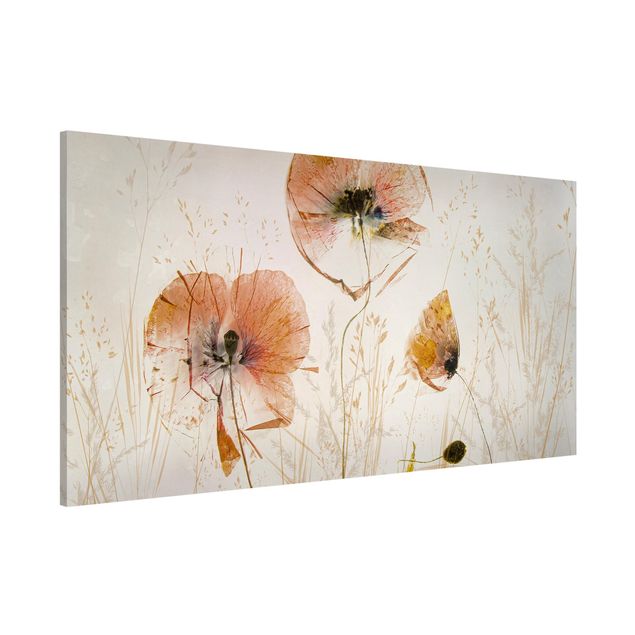Magnettafel - Getrocknete Mohnblüten mit zarten Gräsern - Panorama Querformat