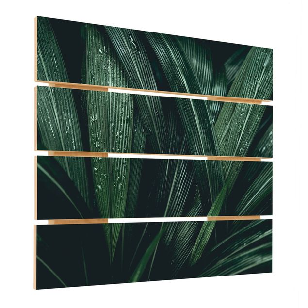 Holzbild - Grüne Palmenblätter - Quadrat 1:1