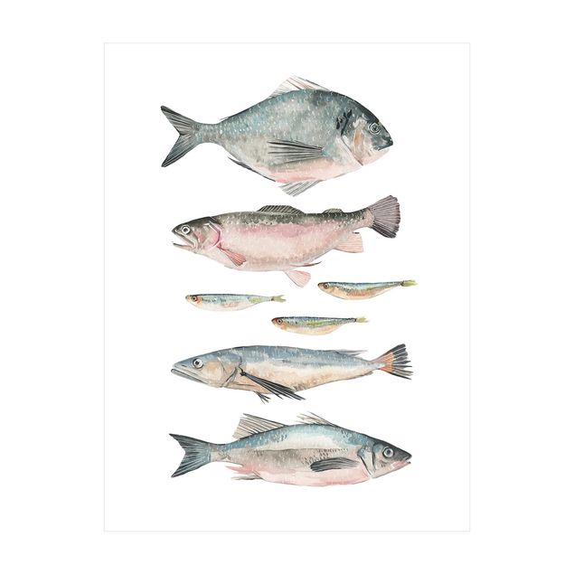 Große Teppiche Sieben Fische in Aquarell II