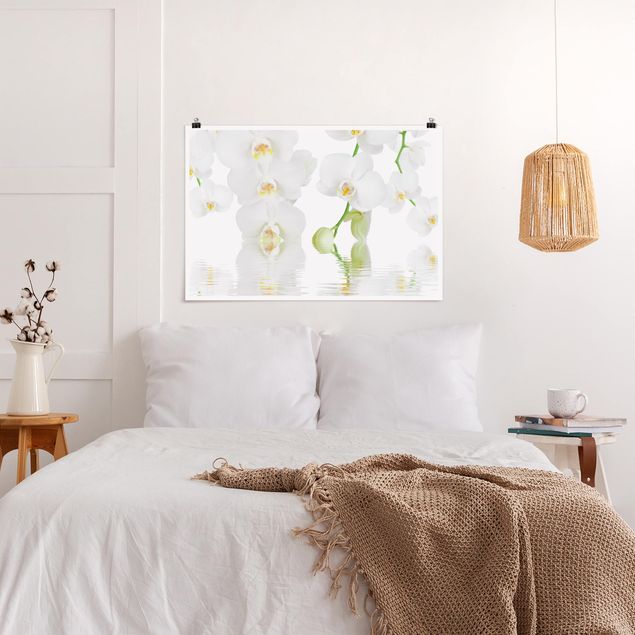 Moderne Poster Wellness Orchidee - Weiße Orchidee