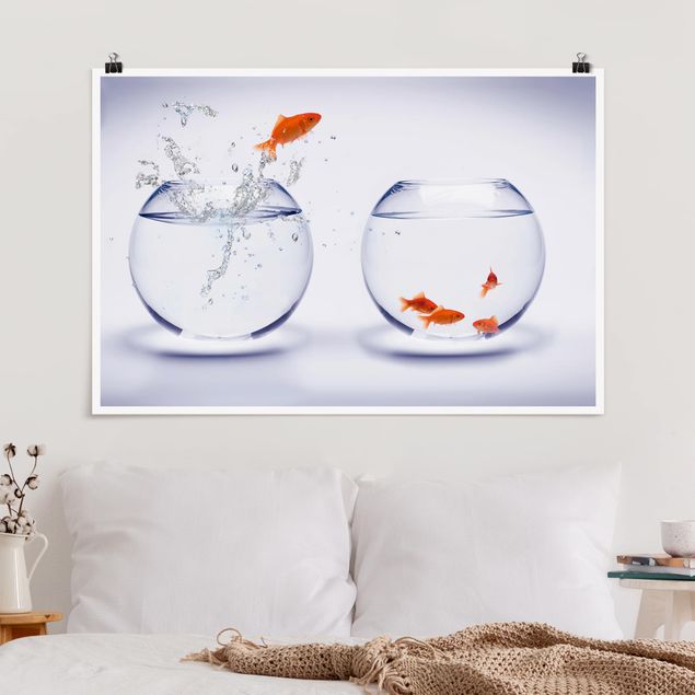 Poster Fische Flying Goldfish