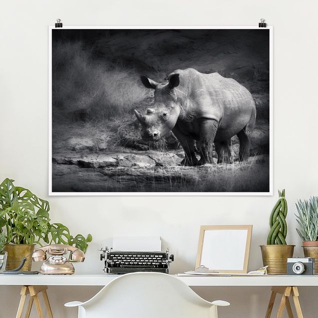 XXL Poster Lonesome Rhinoceros