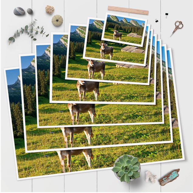 Poster Schweizer Almwiese mit Kuh
